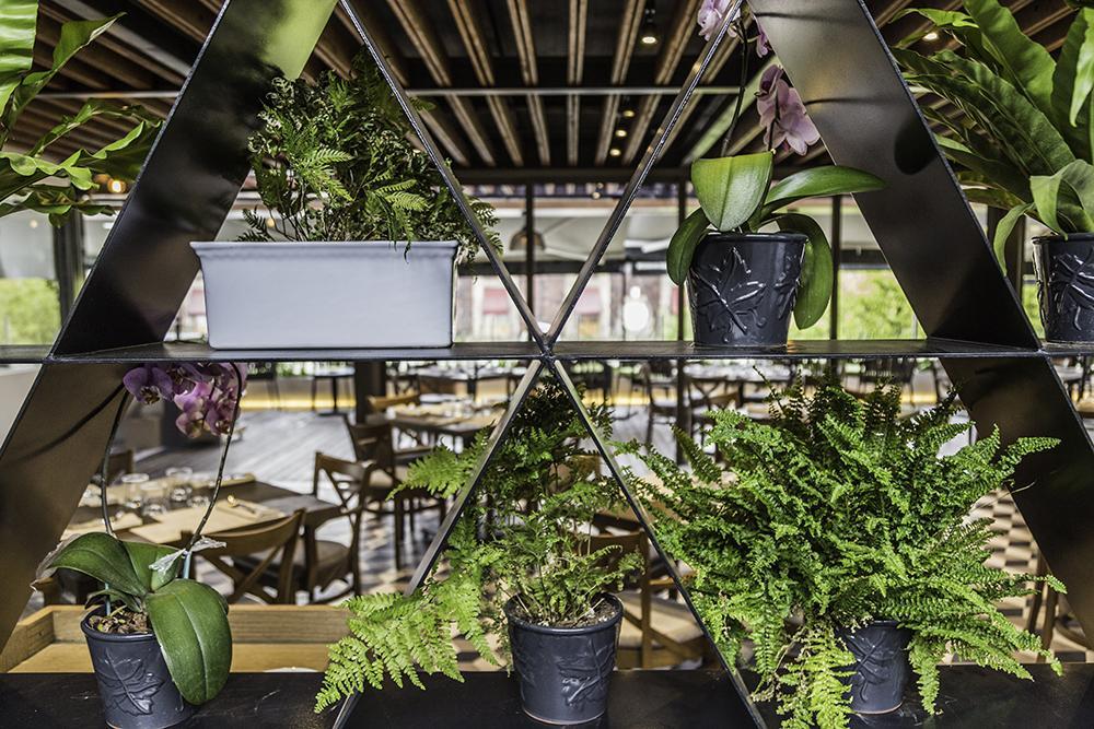 Domingo Santo Hotel Boutique (Adults Only) Mexico By Eksteriør billede